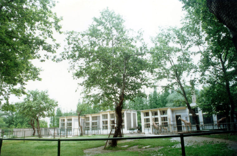 上海動物園長頸鹿館