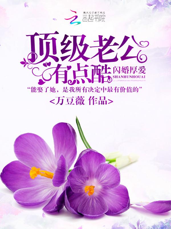 閃婚厚愛(萬豆薇著作小說)