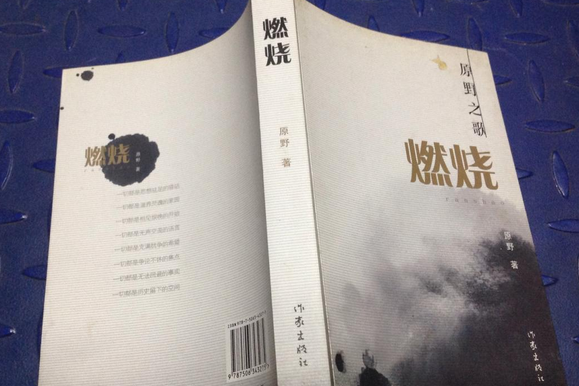 燃燒(2008年作家出版社出版的圖書)