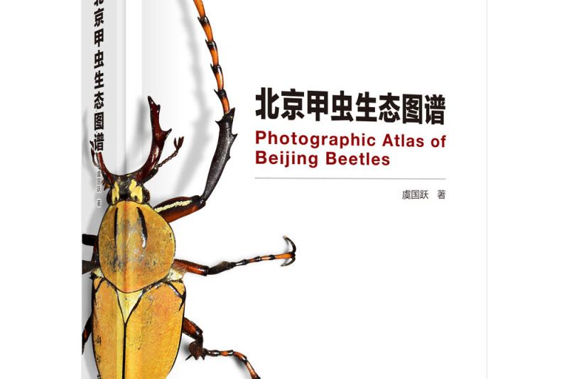 北京甲蟲生態圖譜