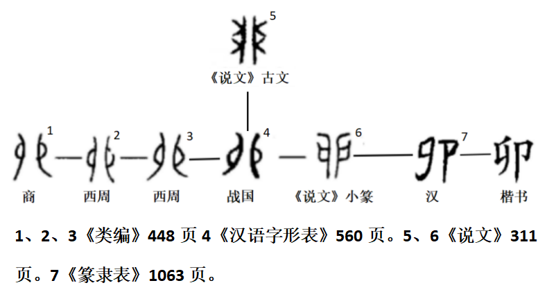 “卯”字的甲骨文、金文、小篆、隸書、楷書等