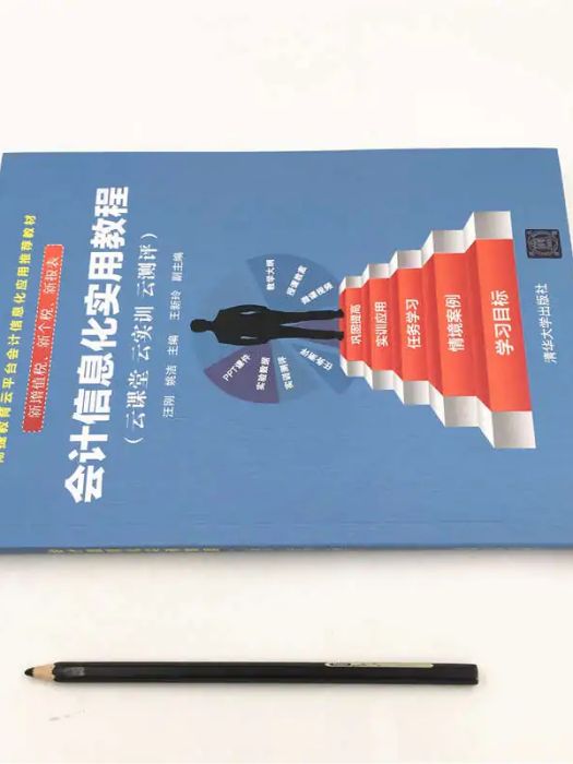 會計信息化實用教程(2019年清華大學出版社出版的圖書)