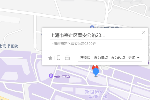 曹安公路2300弄272號