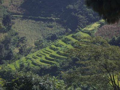 山間梯田