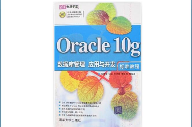 Oracle10g資料庫管理套用與開發標準教程