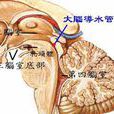 導水管周圍受損