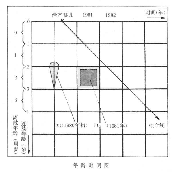 人口系統動態特性