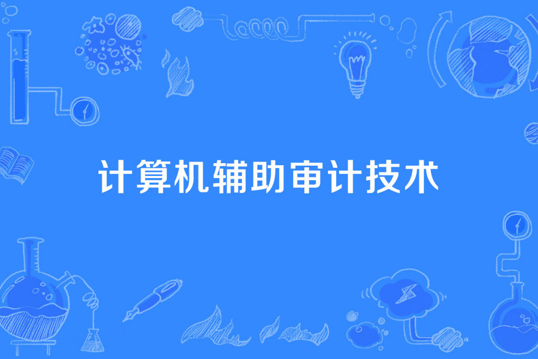 計算機輔助審計技術