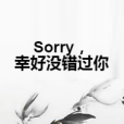 Sorry，幸好沒錯過你