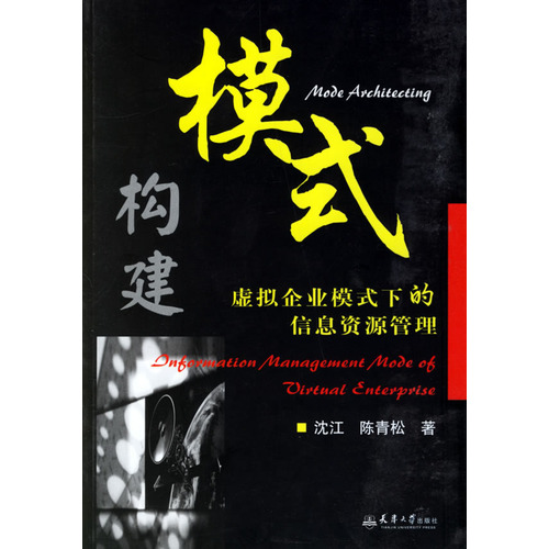 模式構建：虛擬企業模式下的信息資源管理