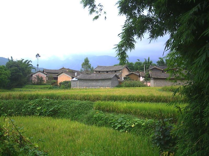 前官莊(山東省德州市慶雲縣下轄村)