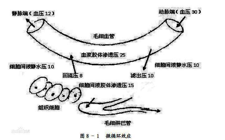 膠體滲透壓