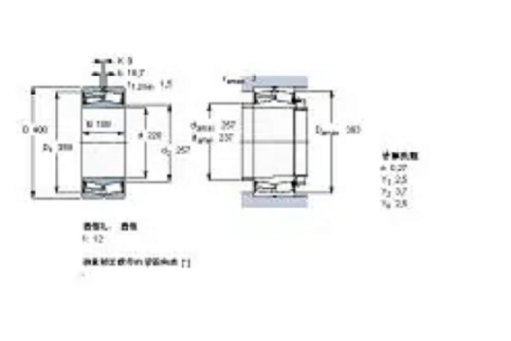 SKF 22244-2CS5K-VT143軸承