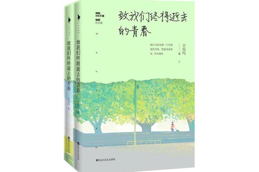 致我們終將逝去的青春(2016年百花洲文藝出版社出版的圖書)