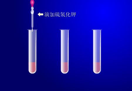 向試管中加入硫氰化鉀