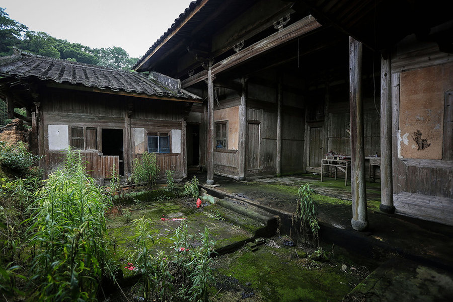 洋頭村(福建寧德蕉城區八都鎮林洋頭村)