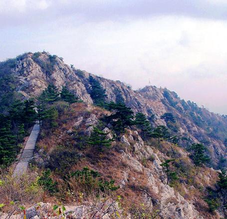 富國公園登山路上