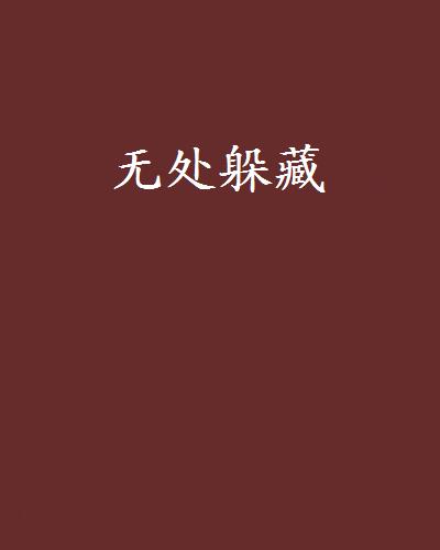 無處躲藏(小說)