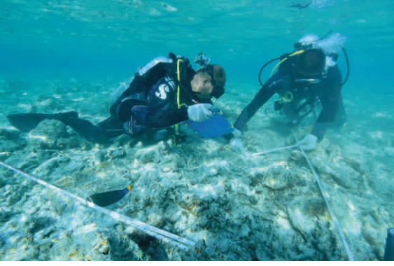 金銀島沉船遺址