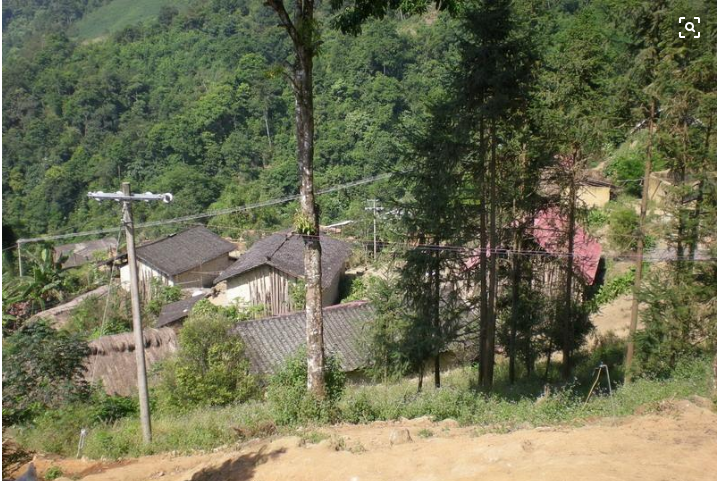 良子上村(雲南省文山馬關縣八寨鎮務路者村委會)