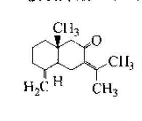 按雙烯酮