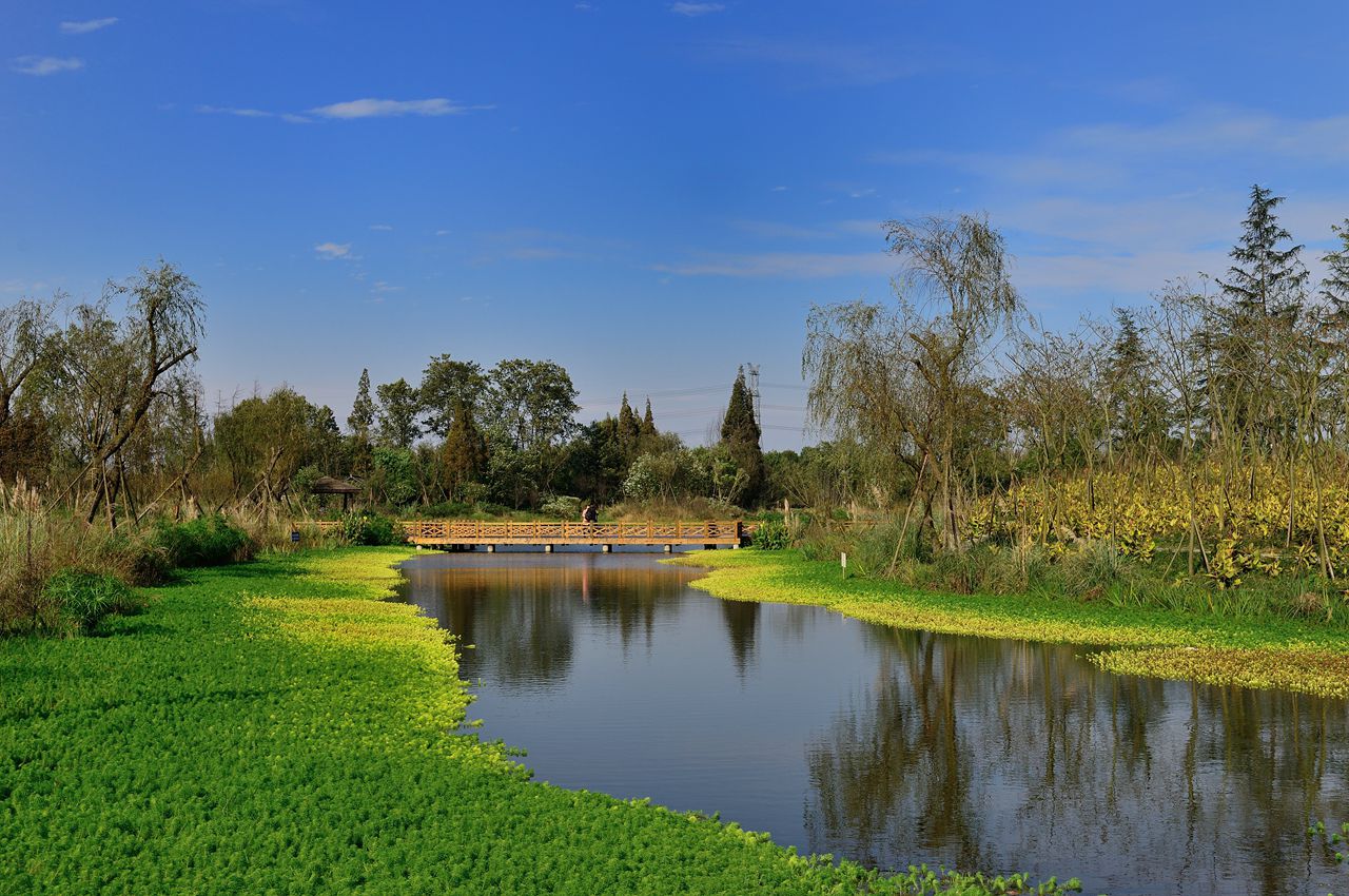 榿木河濕地公園