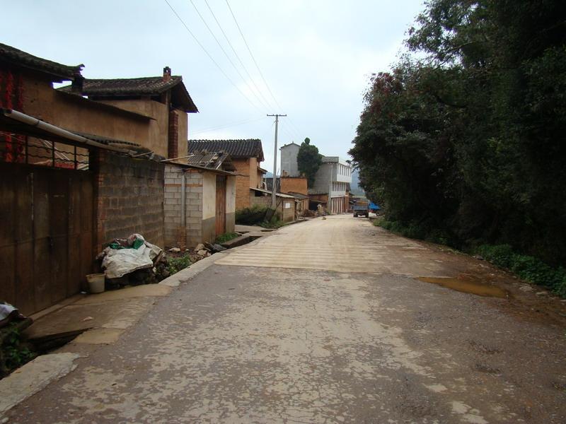 甸頭自然村村內道路