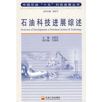 石油科技進展綜述(中國石油“十五”科技進展叢書：石油科技進展綜述)