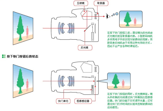 單鏡頭反光相機(單眼照相機)