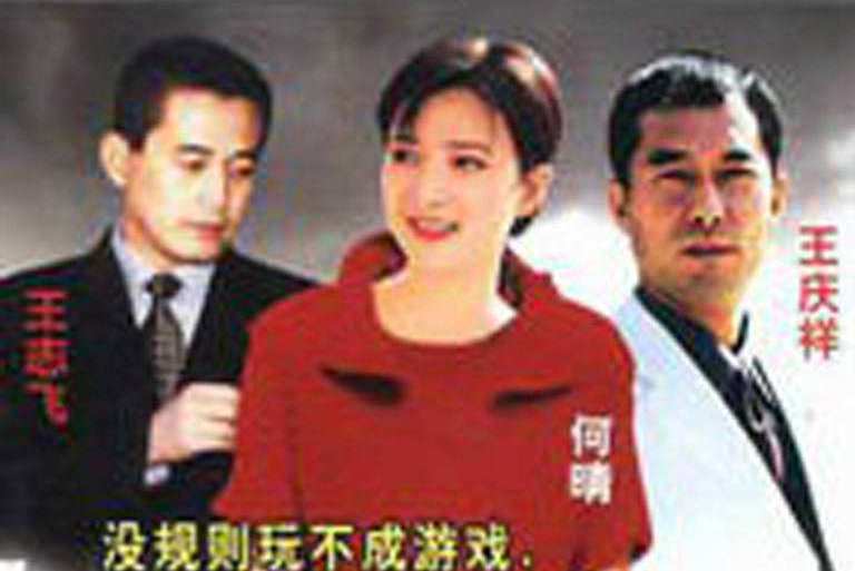 遊戲規則(2001年王慶祥何晴王志飛主演的電視劇)