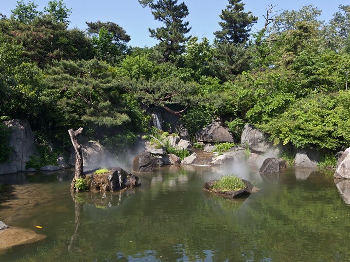 龍山家族公園