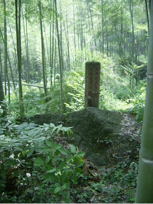 三口鎮(安徽黃山市黃山區轄鎮)