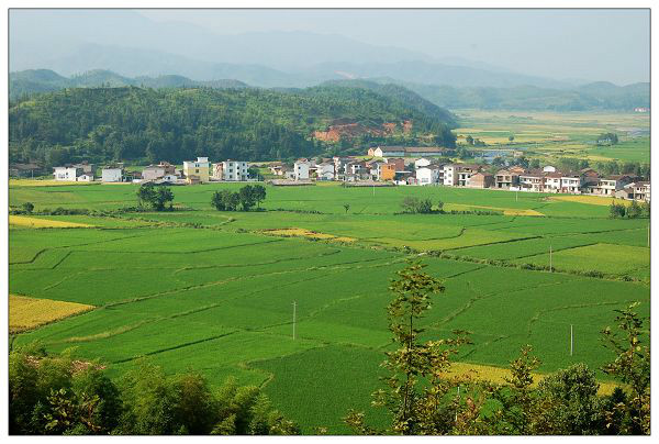 團村村