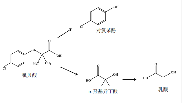 氯貝酸