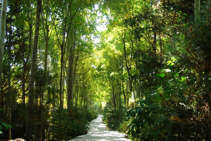 銀川森林公園