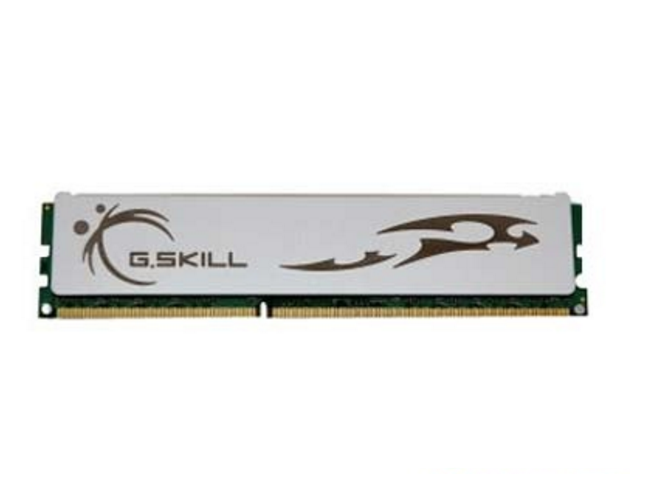 芝奇4GB DDR3 1333(F3-10666CL9D-4GBECO)