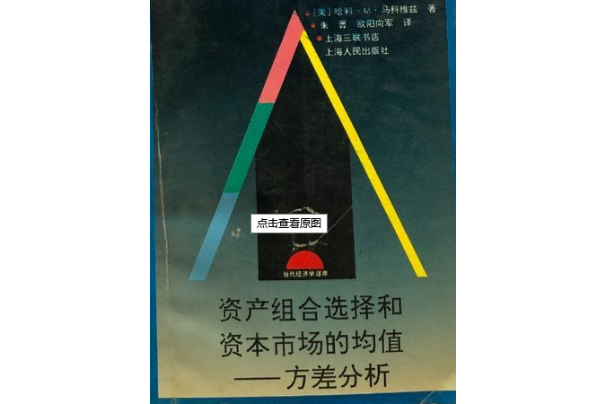 資產組合選擇和資本市場的均值(1999年上海人民出版的圖書)