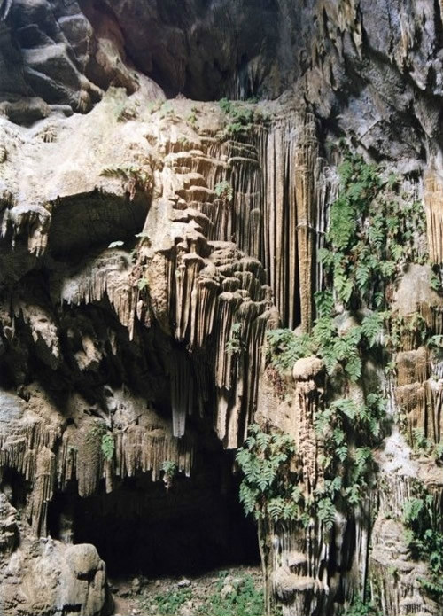 蓮花洞(貴州普定的洞穴)