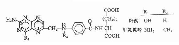 甲氨蝶呤分子式