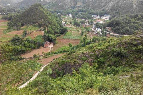 東獅村