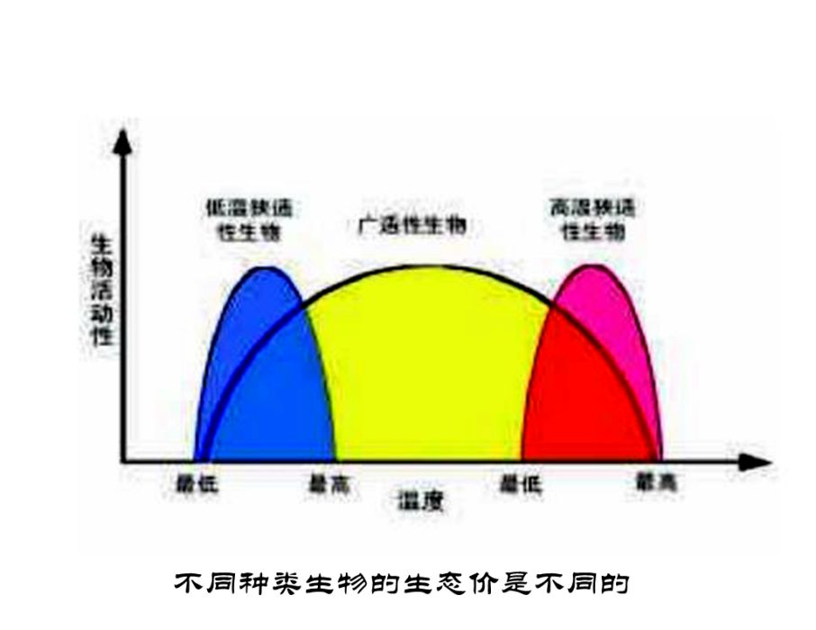 生態價