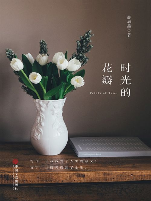 時光的花瓣(薛海燕創作的網路小說)