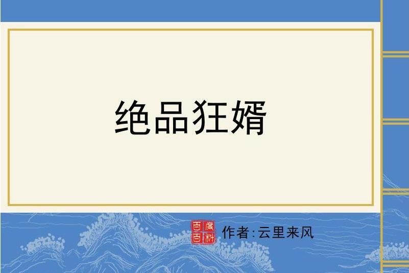 絕品狂婿(雲里來風所著小說)