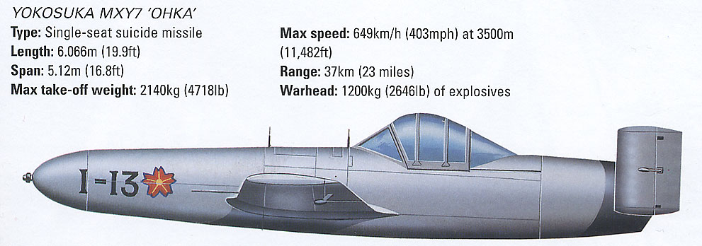 ohka 11