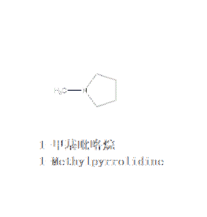 1-甲基吡咯烷