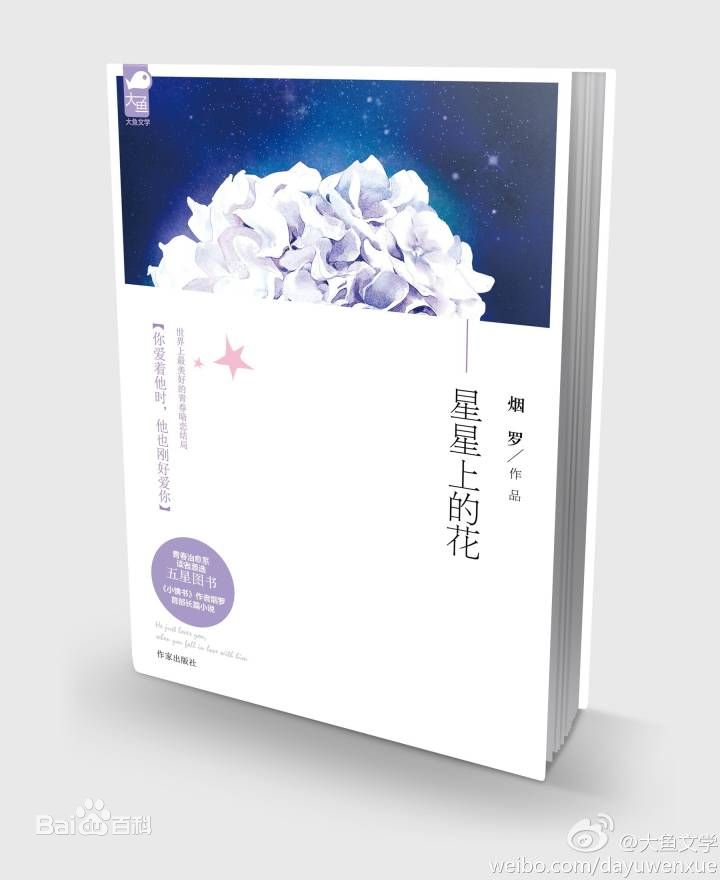 《星星上的花》