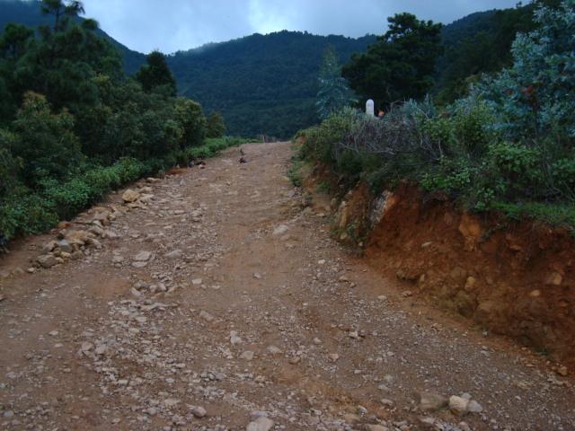 進村道路