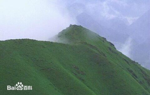 中國最美的高山草甸兔耳嶺