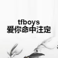 tfboys愛你命中注定