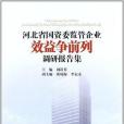 河北省國資委監管企業效益爭前列調研報告集